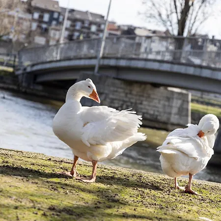 Appartement Le Relais De La Maillere
